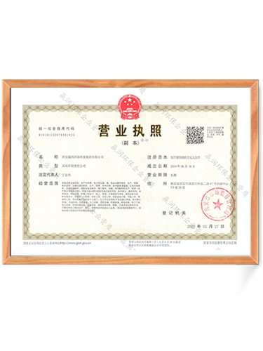 Business License