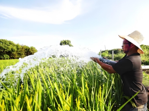 Portable water quality rapid analyzer for farmland irrigation water