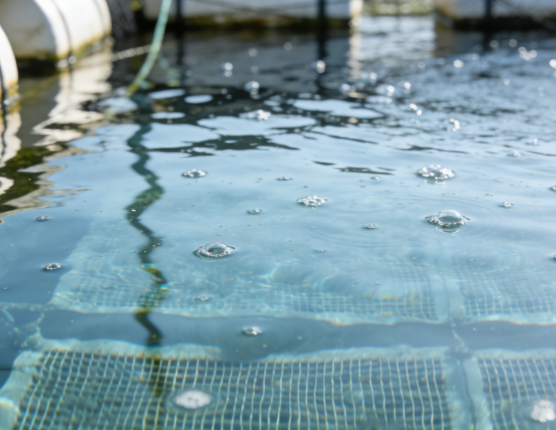 Why Is pH in Water Important