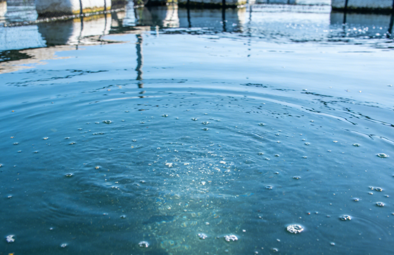 How to Treat Dissolved Oxygen in Water