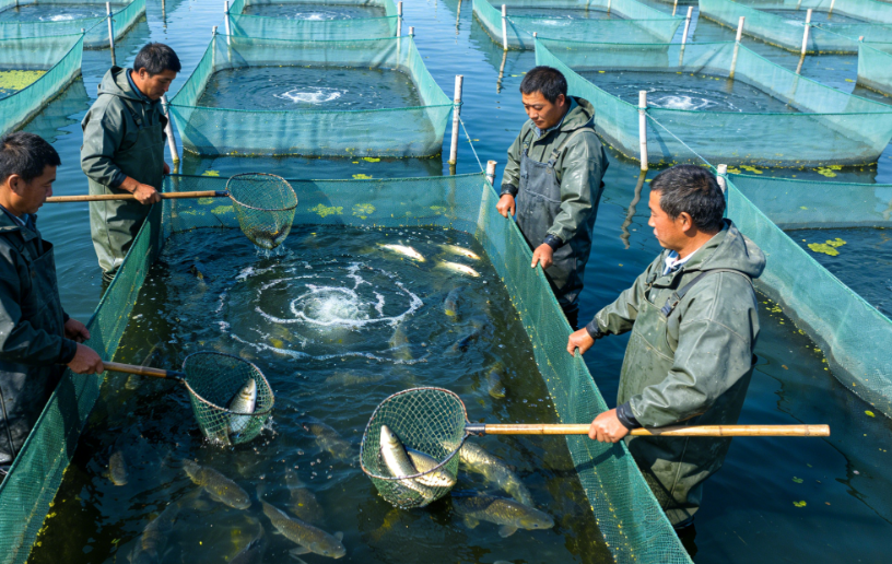 How to Test for Residual Chlorine in Water 